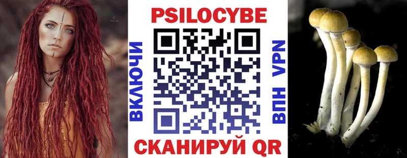 Купить где  Тимашёвск  Галлюциногенные грибы GOLDEN TEACHER 